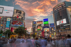 shibuya 