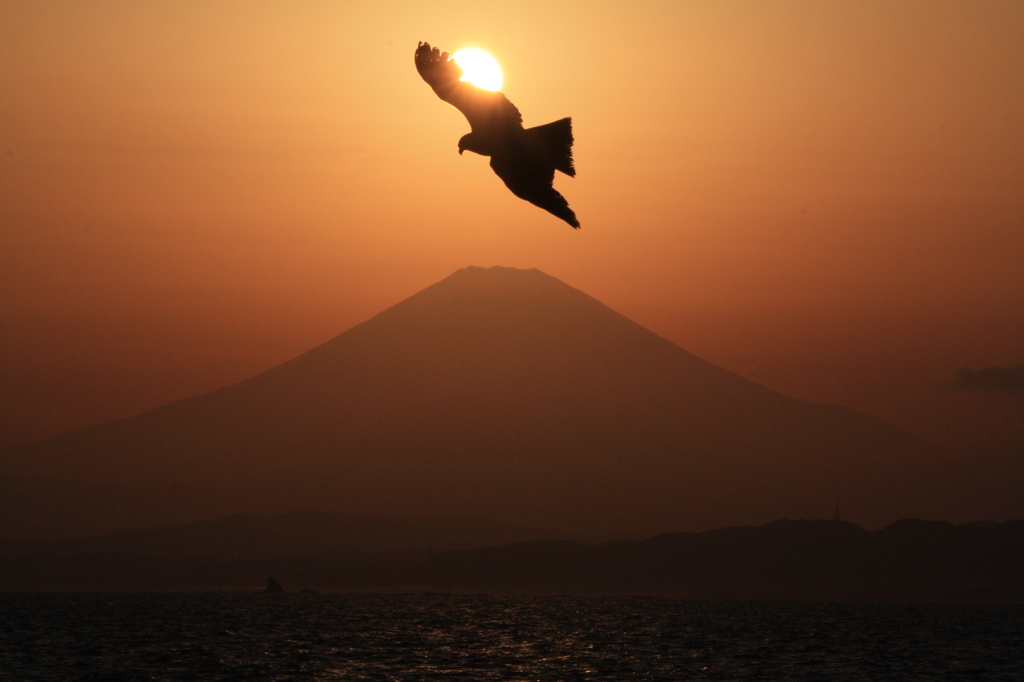 富士山