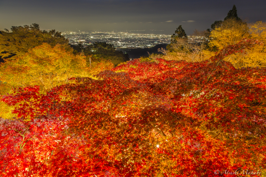 紅葉