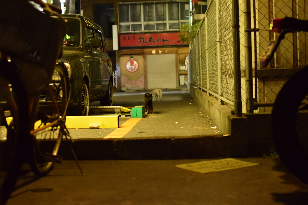 大分　都町の夜２