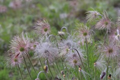 小さな花火