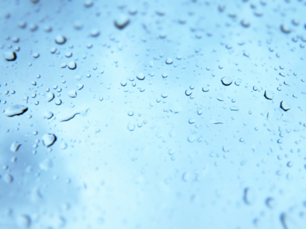 朝露DROPs