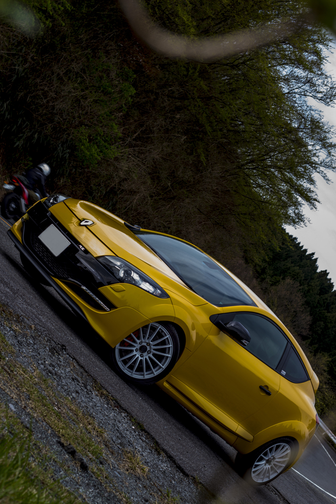 Renault Megane RS (ABA-DZF4R)