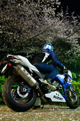 夜桜とバイク