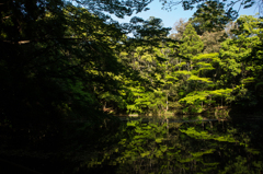 伊勢神宮