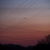 夕焼け小焼け。