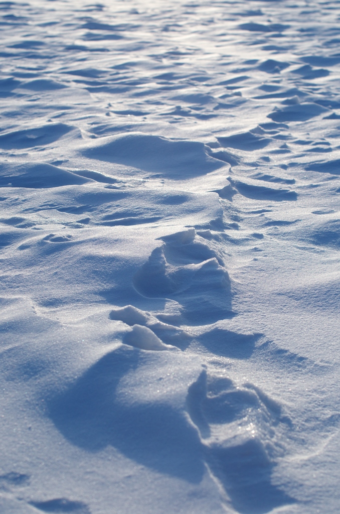 雪の表情