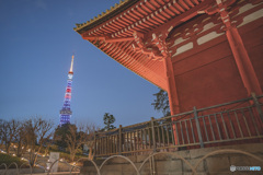 temple&tokyo tower