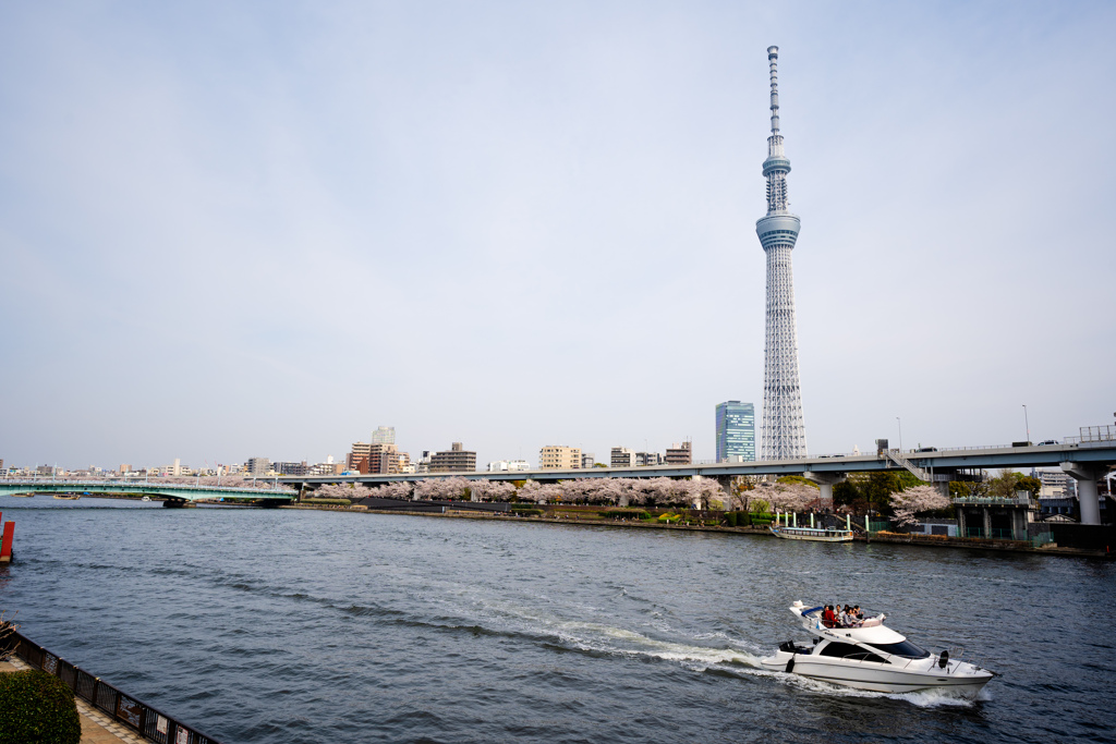 Sumida river