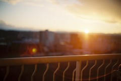 夕日
