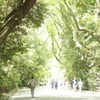 熱田神宮