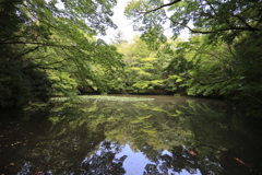 伊勢神宮内宮の池