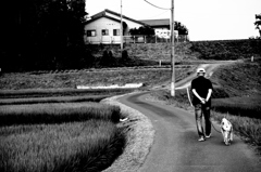 道は真っ直ぐではない。