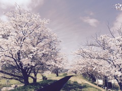 桜の園