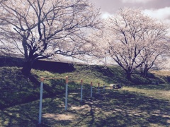 公園