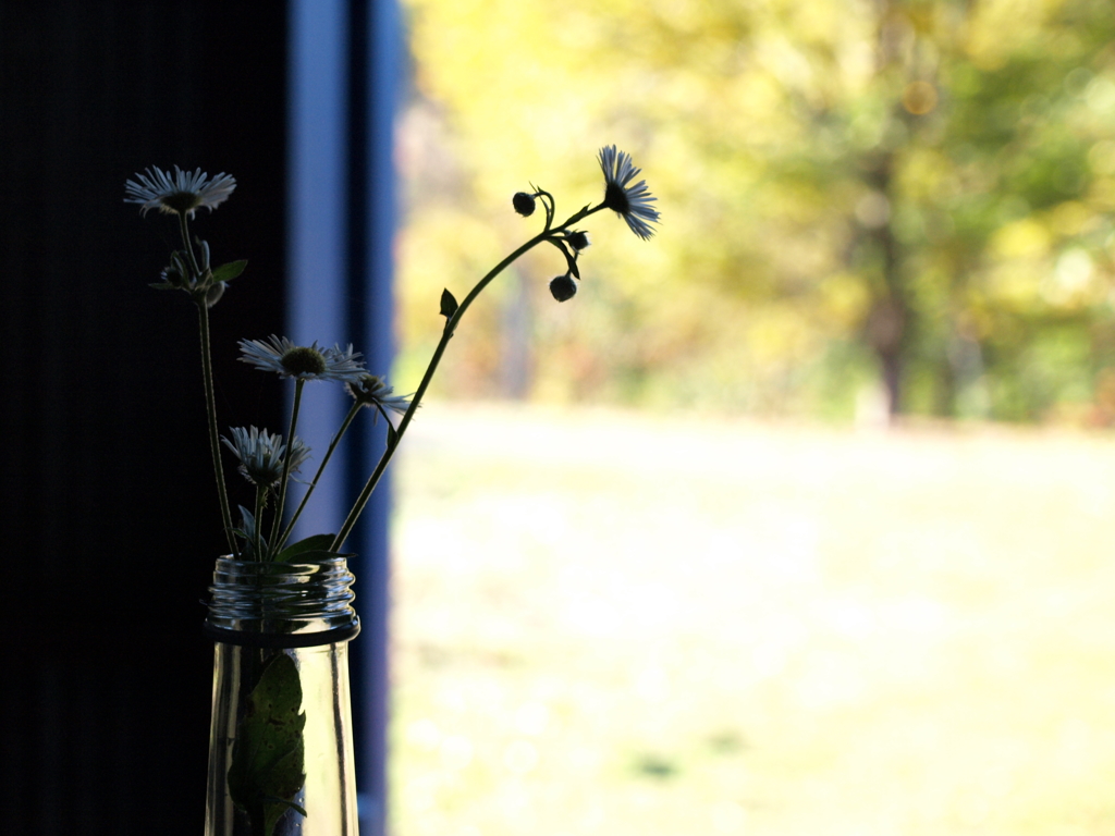 あの花