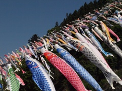 屋根より高い