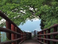 振り返れば