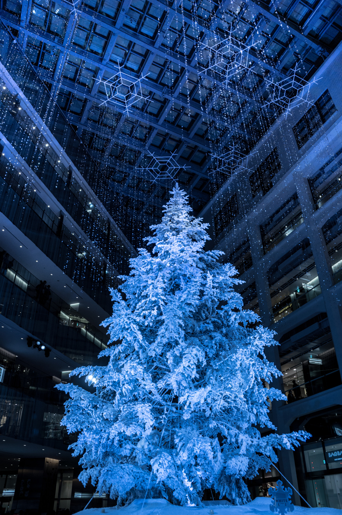 クリスマスツリー