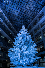 クリスマスツリー