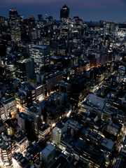 シーサイドトップからの夜景