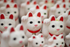 招き猫　その１