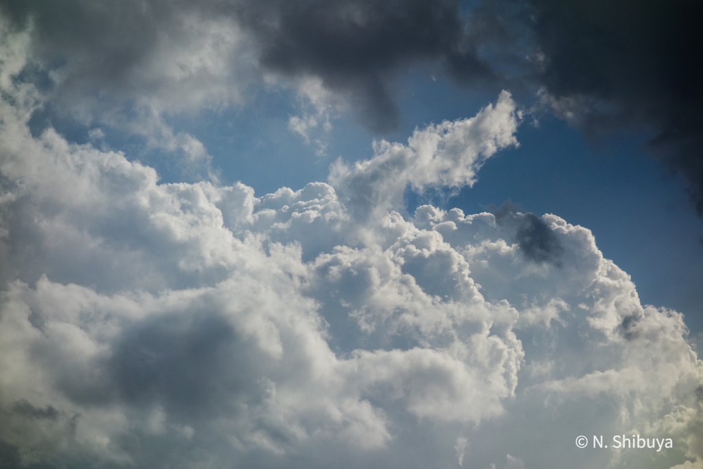 高空の夏雲。もう別世界な感じ。