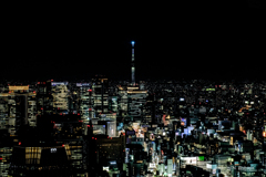 東京、夜の点描。