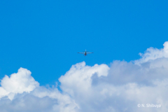 夏の飛行機。