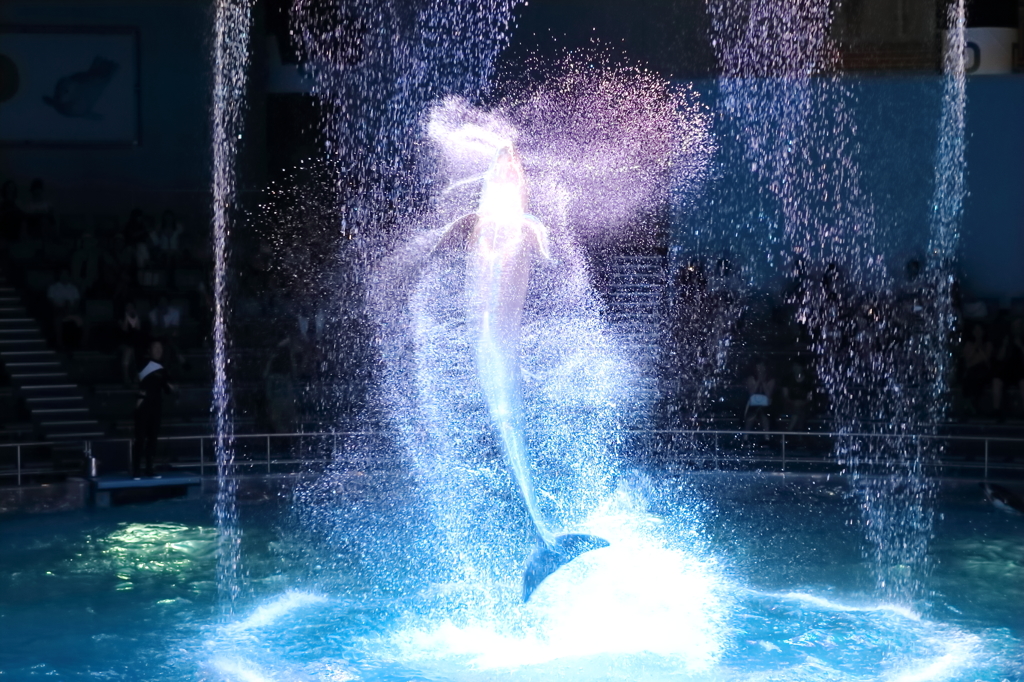 水の衣