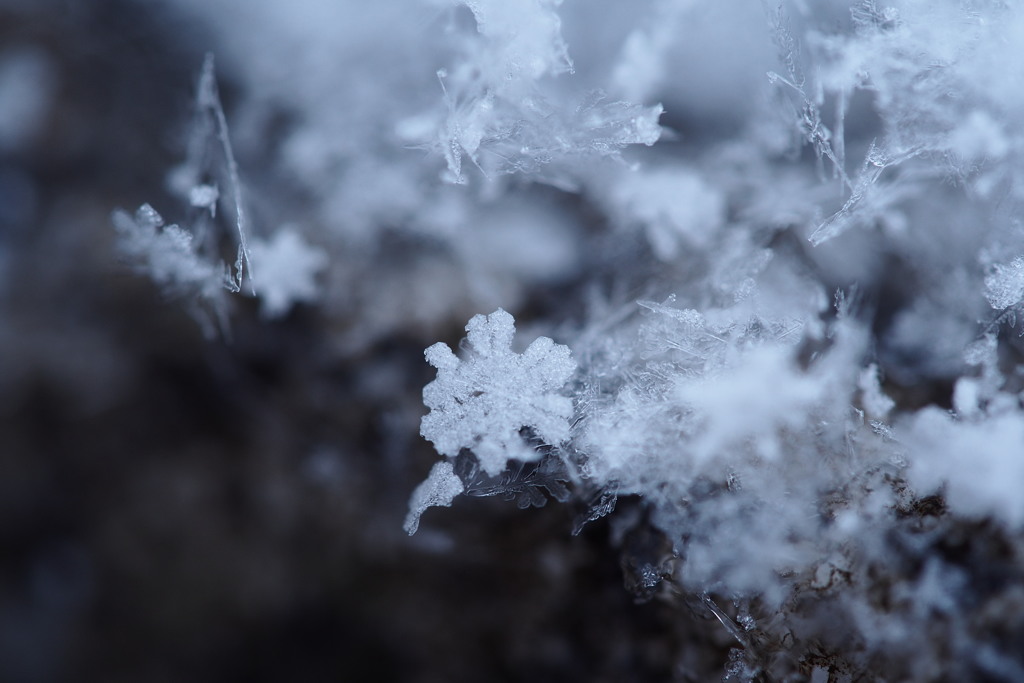 雪のかけら　２