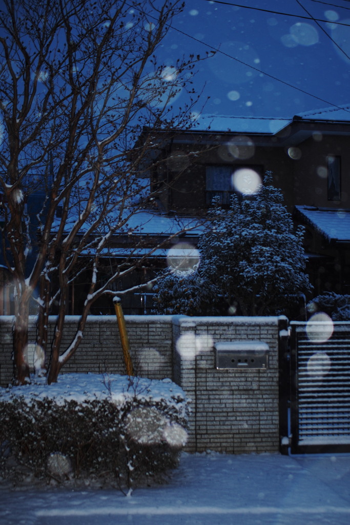 我家に降る雪