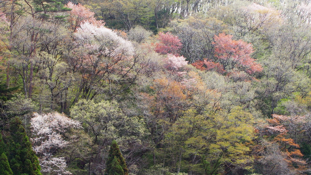 山装う