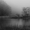 霧の湖畔