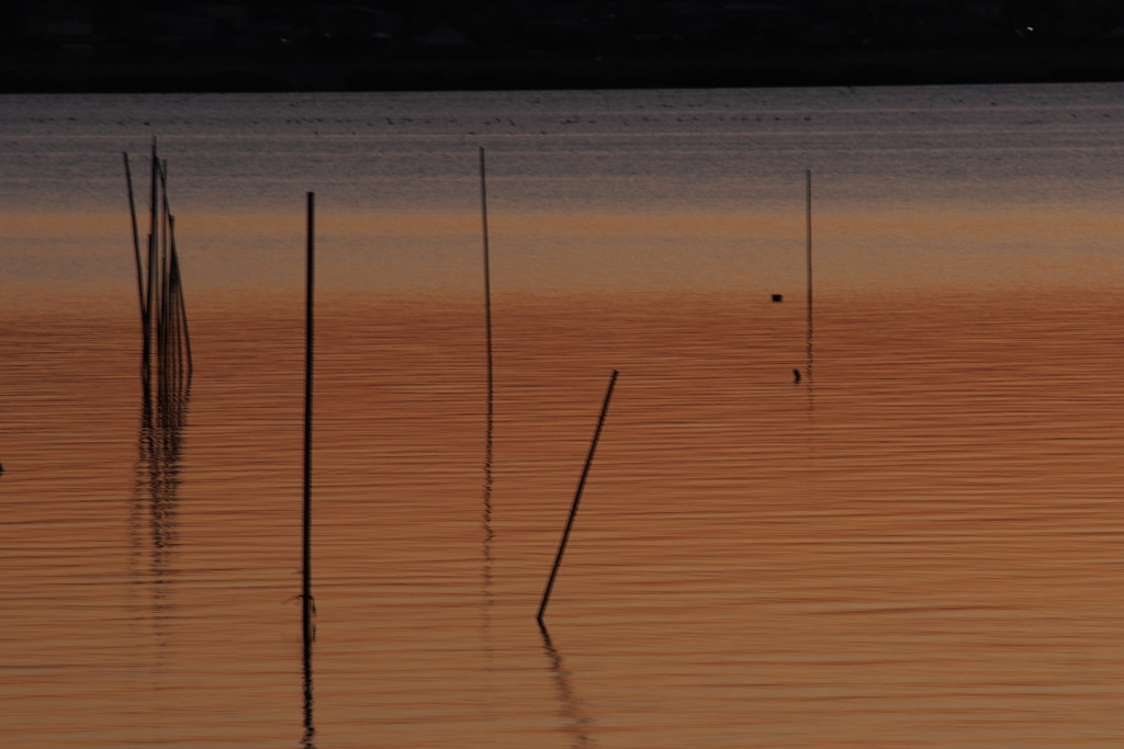 涸沼　夕景　２