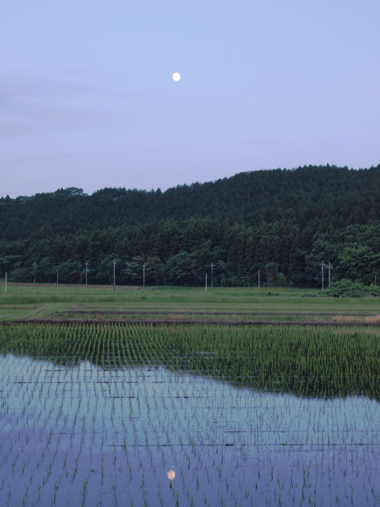 水無月のふたつの月