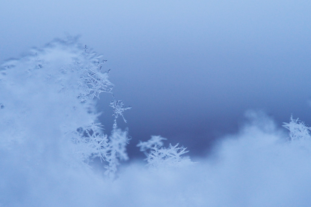 雪のかけら　１