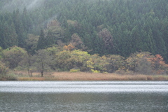 雨の女沼