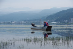 諏訪湖朝景　えび漁　２
