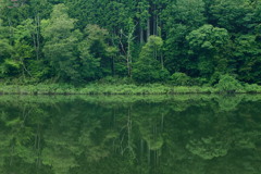 梅雨のダム湖