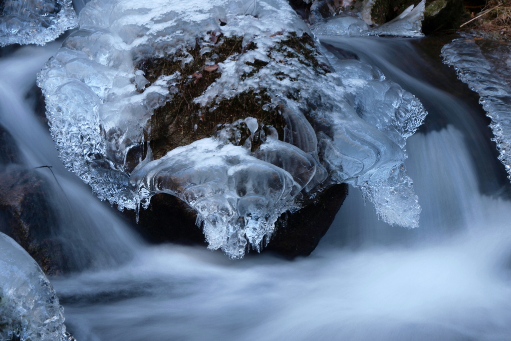 氷の造形　甲虫