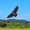 大空を飛んでみたい　１