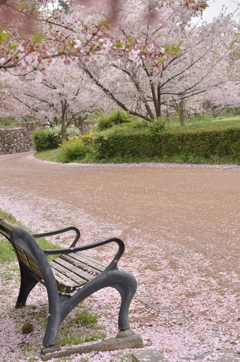 いつもの公園