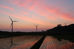 風力発電のある風景