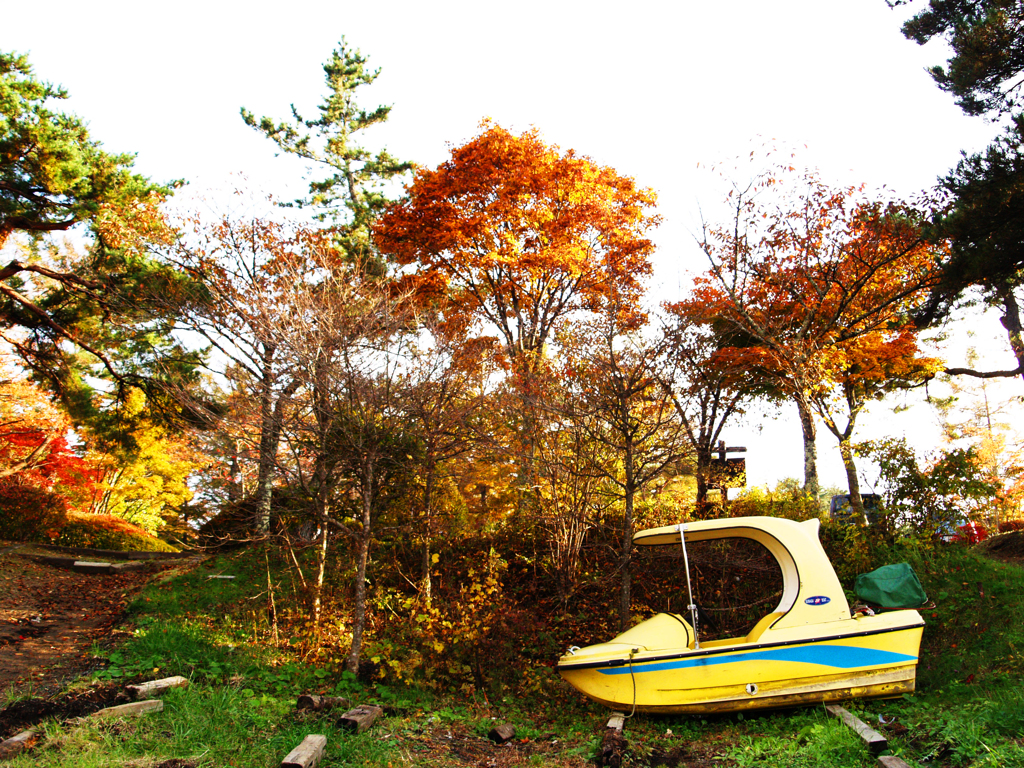 あるべきでないところに