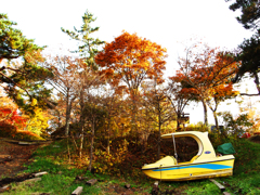 あるべきでないところに