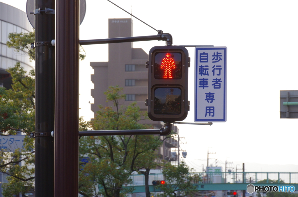 人生赤信号