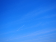 お散歩日和～