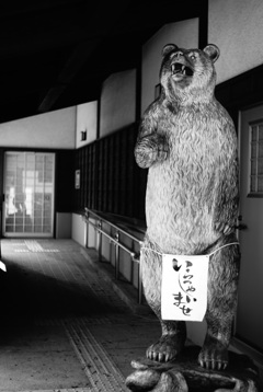 (;ﾟДﾟ)!‥‥