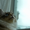 優しい雨音